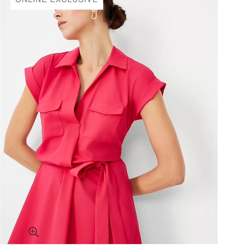 Ann Taylor Vibrant Pink Collared Dress